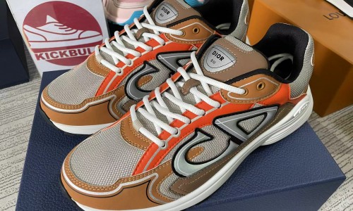 DIOR sneaker kickbulk luxury brand shoes custom made retial wholesale reviews
