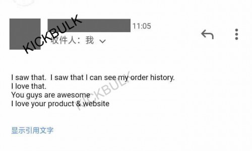 Customer Reviews of KickBulk Sneaker