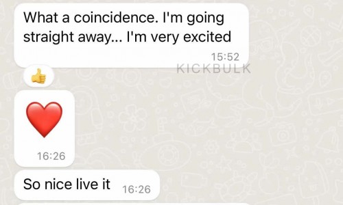 Feedback from a European customer friend Kickbulk Sneaker Free Shipping