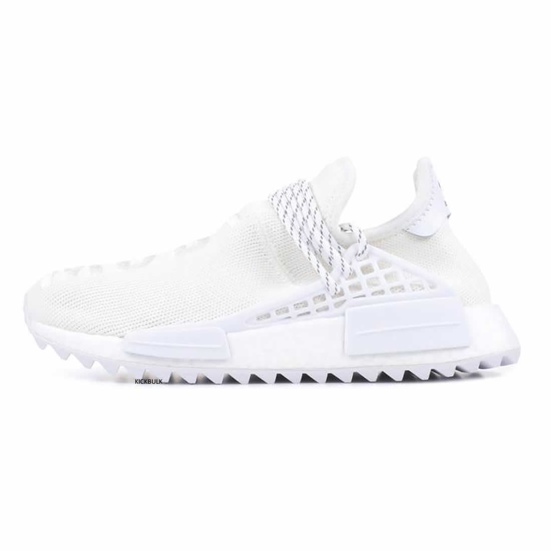Black canvas human best sale race