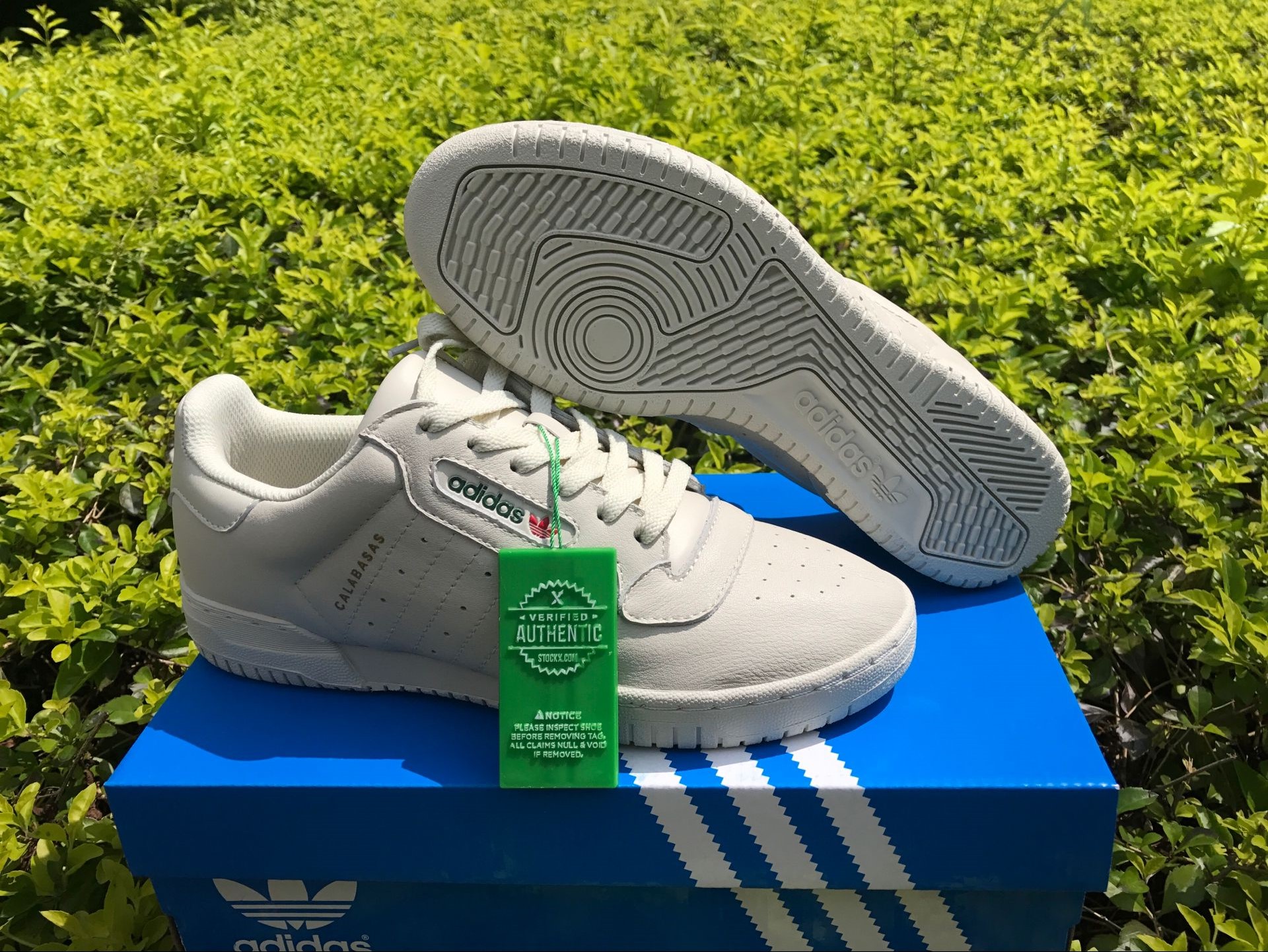 Adidas Yeezy Powerphase Calabasas Cq1693 14 - www.kickbulk.co