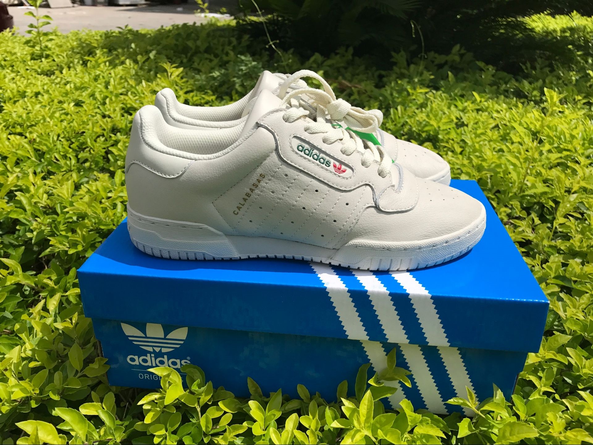 Adidas Yeezy Powerphase Calabasas Cq1693 9 - www.kickbulk.co