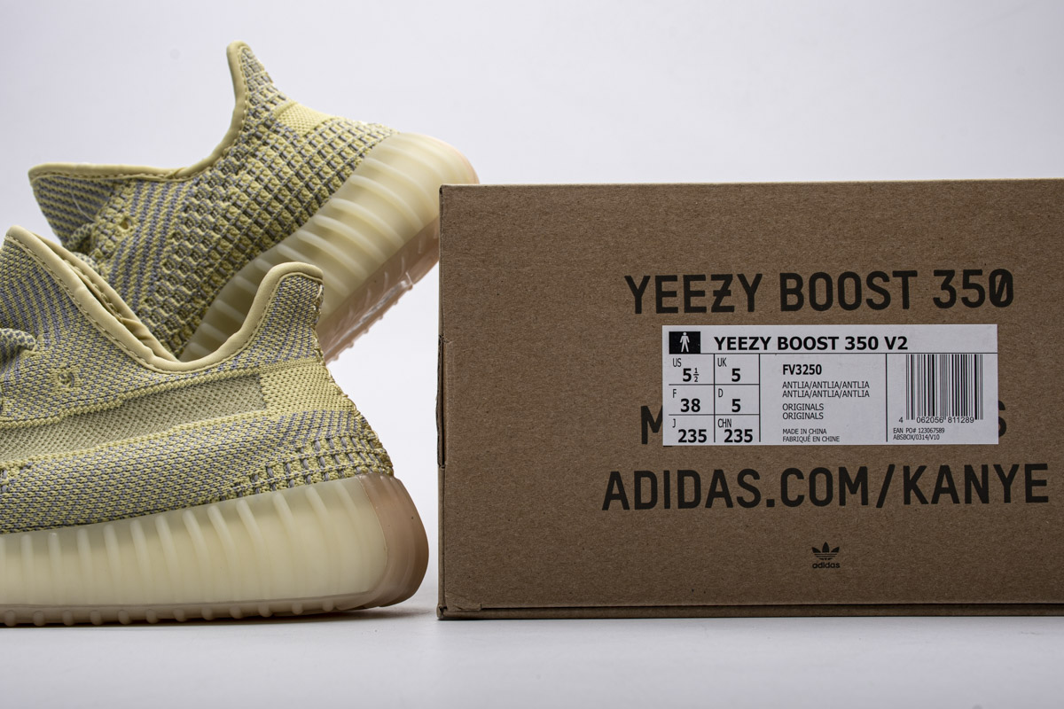 Adidas Yeezy Boost 350 V2 Antlia Non Reflective Fv3250 Kickbulk 5 - www.kickbulk.co