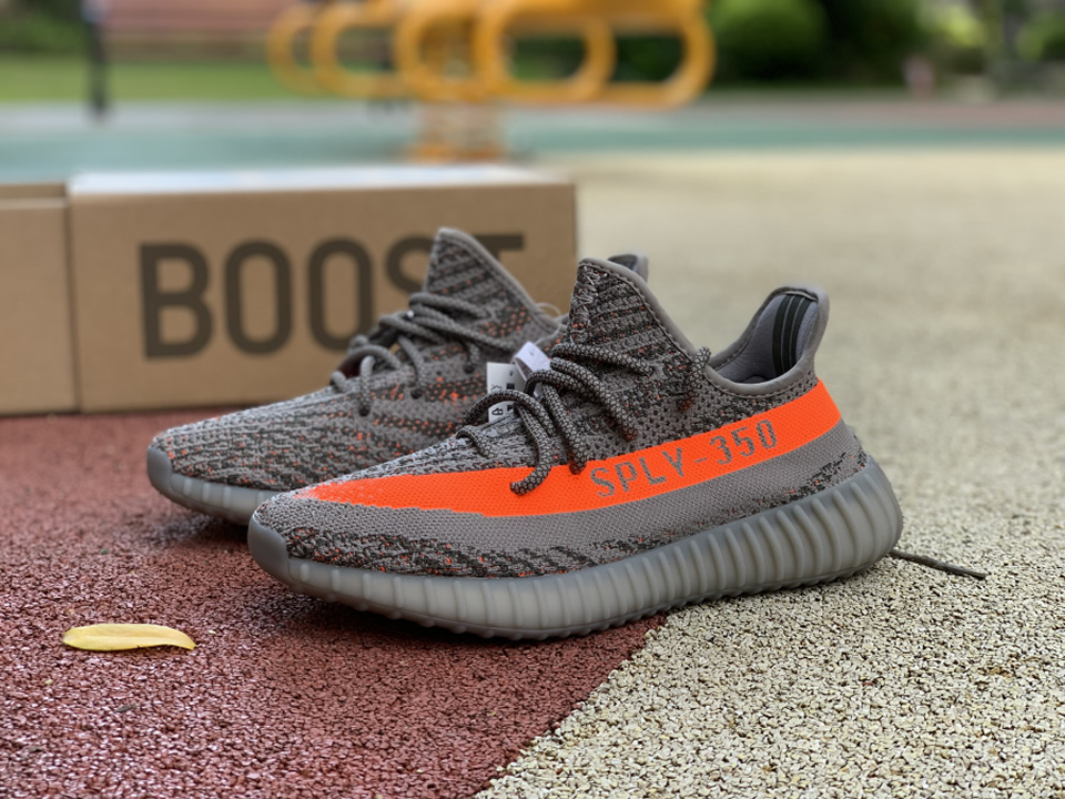 Adidas Yeezy Boost 350 V2 Beluga Reflective Gw1229 Kickbulk 11 - www.kickbulk.co