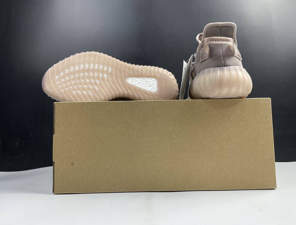 Adidas Yeezy Boost 350 V2 Mono Light Gw2871 21 - www.kickbulk.co