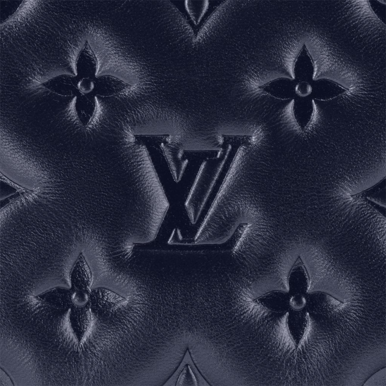 Lv Coussin Pm Handbag M20379 6 - www.kickbulk.co