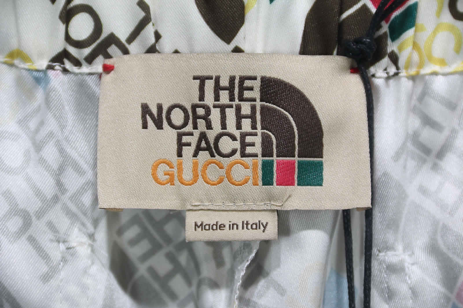 Gucci The North Face Silk Shorts 13 - www.kickbulk.co