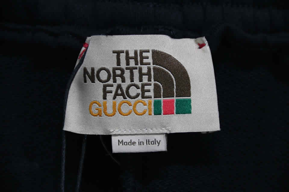 Gucci The North Face Shorts 2021 24 - www.kickbulk.co
