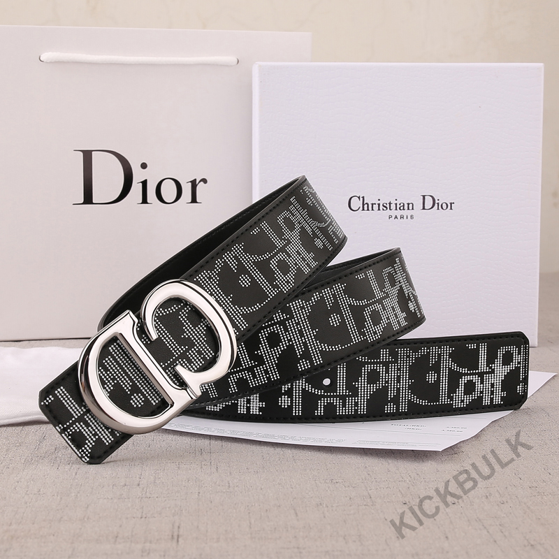 Dior Belt 9 - www.kickbulk.co