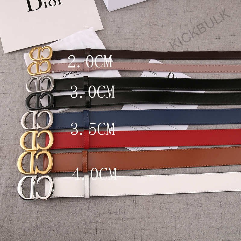 Dior Belt Kickbulk 4 - www.kickbulk.co
