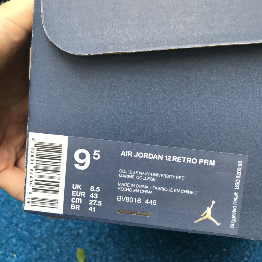 Nike AIR JORDAN 12 \