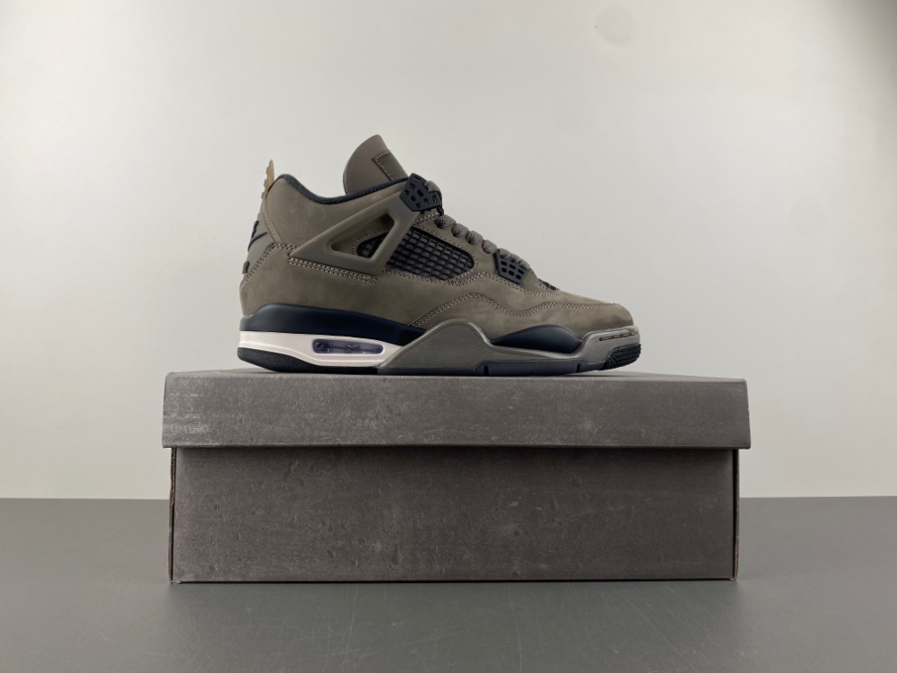 Air Jordan 4 Cave Stone Fv5029 200 10 - www.kickbulk.co