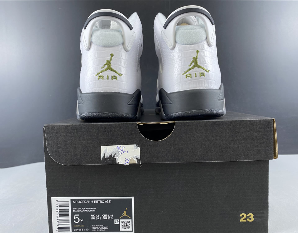 Air Jordan 6 Retro Bg Alligator 384665 110 21 - www.kickbulk.co