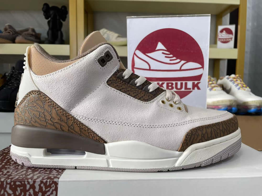 Air Jordan 3 Retro Palomino Ct8532 102 11 - www.kickbulk.co