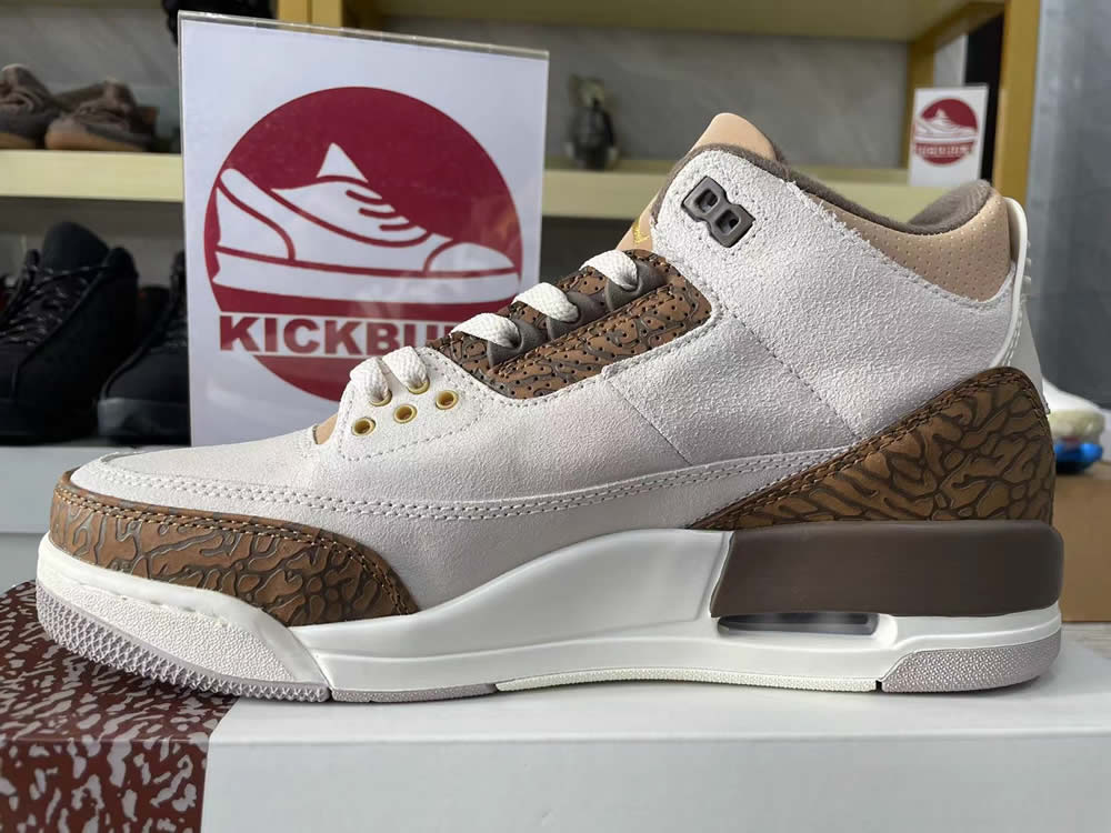 Air Jordan 3 Retro Palomino Ct8532 102 12 - www.kickbulk.co