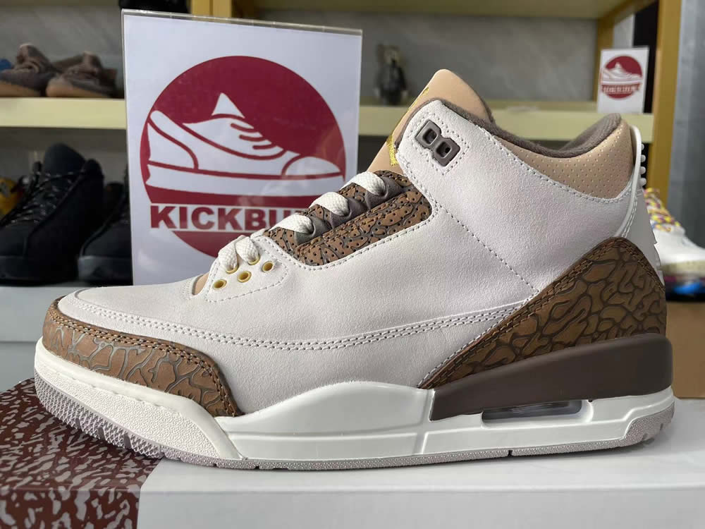 Air Jordan 3 Retro Palomino Ct8532 102 13 - www.kickbulk.co