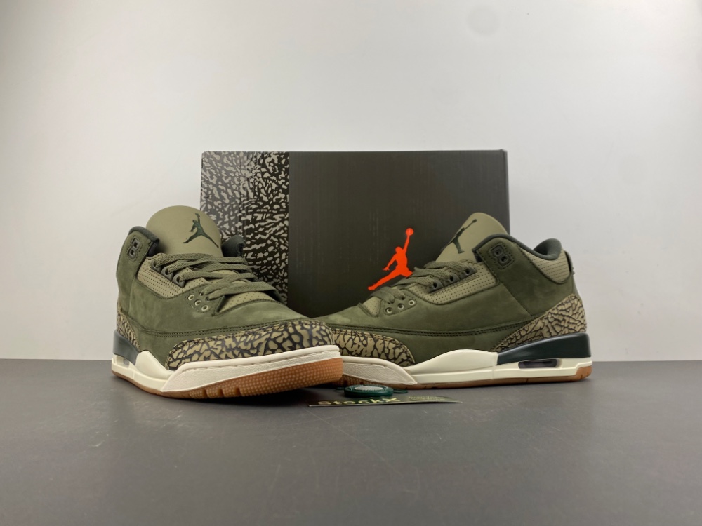 Air Jordan 3 Retro Family Affair Dn3707 202 12 - www.kickbulk.co