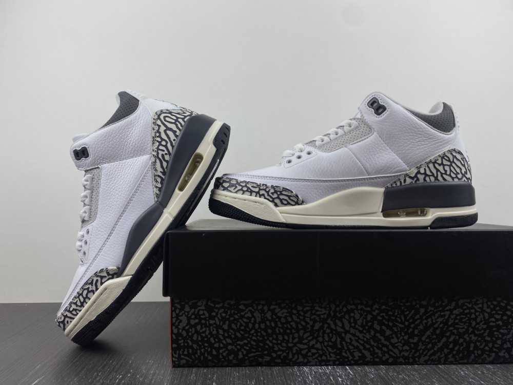 Air Jordan 3 Retro Gs Hide N Sneak Dx6665 100 10 - www.kickbulk.co