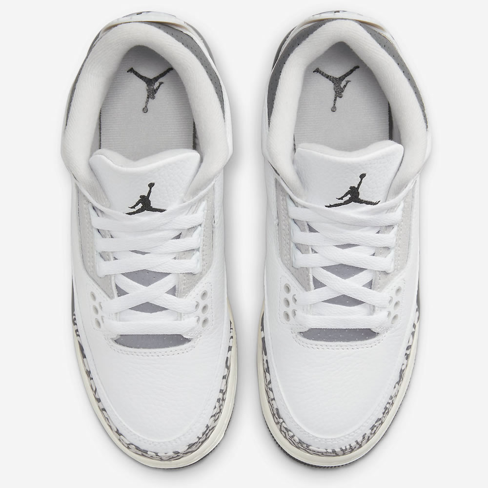 Air Jordan 3 Retro Gs Hide N Sneak Dx6665 100 2 - www.kickbulk.co