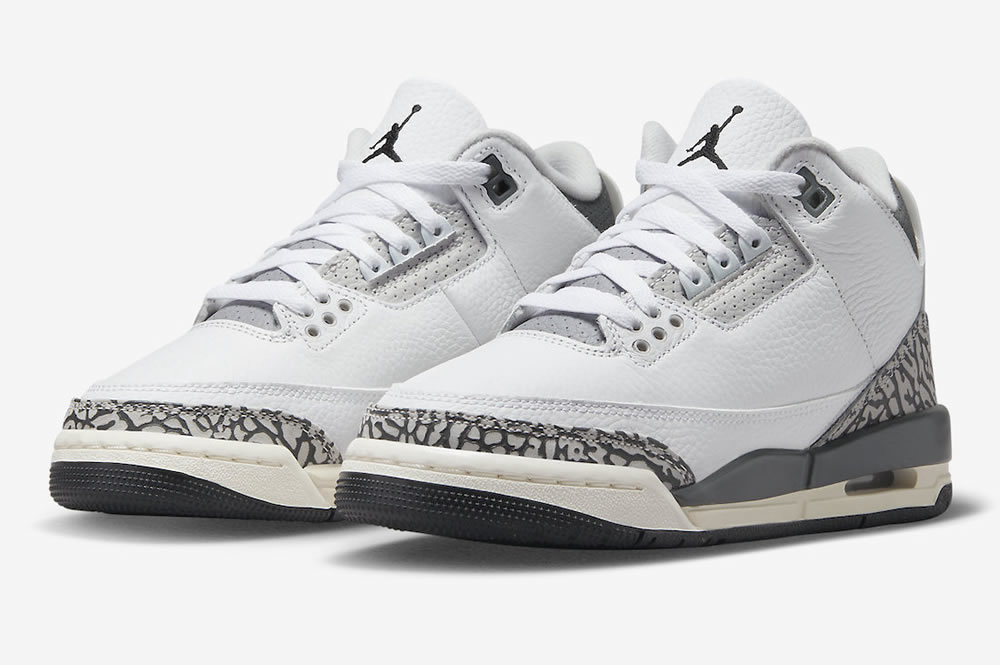 Air Jordan 3 Retro Gs Hide N Sneak Dx6665 100 3 - www.kickbulk.co