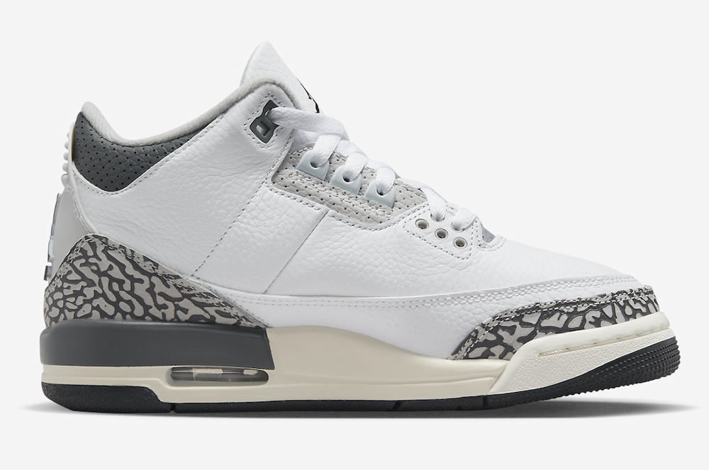 Air Jordan 3 Retro Gs Hide N Sneak Dx6665 100 5 - www.kickbulk.co