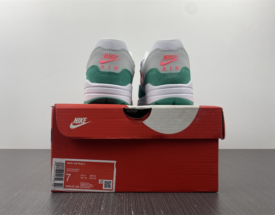 Nike Air Max 1 Watermelon Ah8145 106 14 - www.kickbulk.co