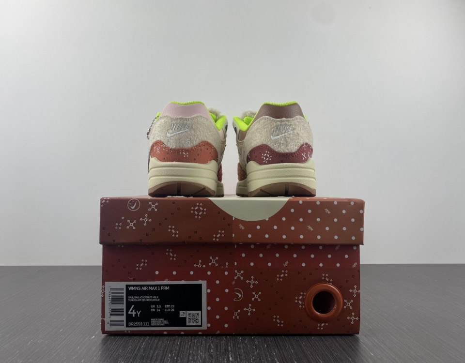 Nike Air Max 1 Prm Womans Best Friend Wmns Dr2553 111 16 - www.kickbulk.co