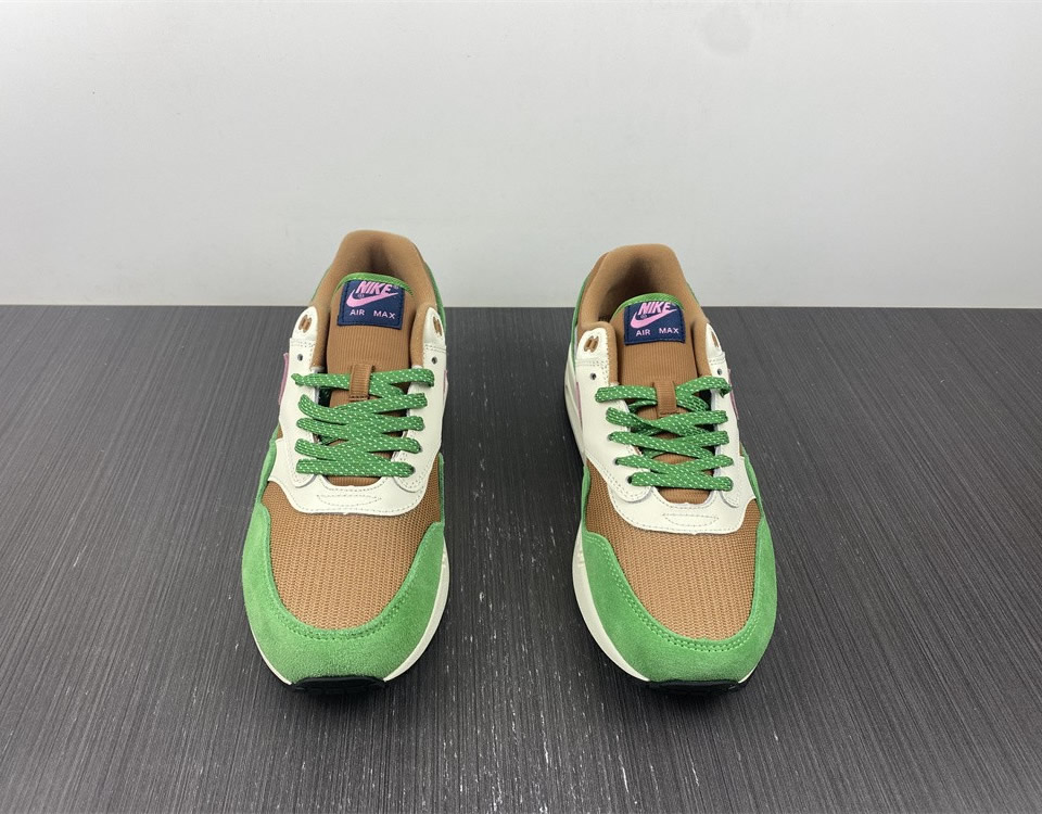 Nike Air Max 1 Nh Treeline Dr9773 300 7 - www.kickbulk.co