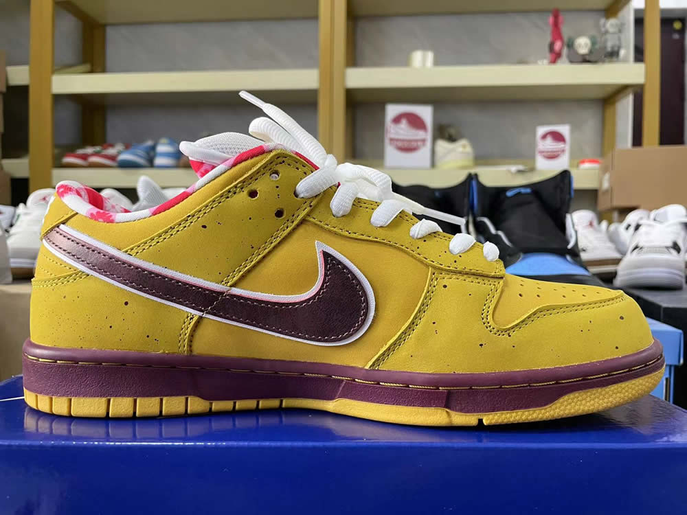 Nike Dunk Low Premium Sb Yellow Lobster 313170 137566 10 - www.kickbulk.co