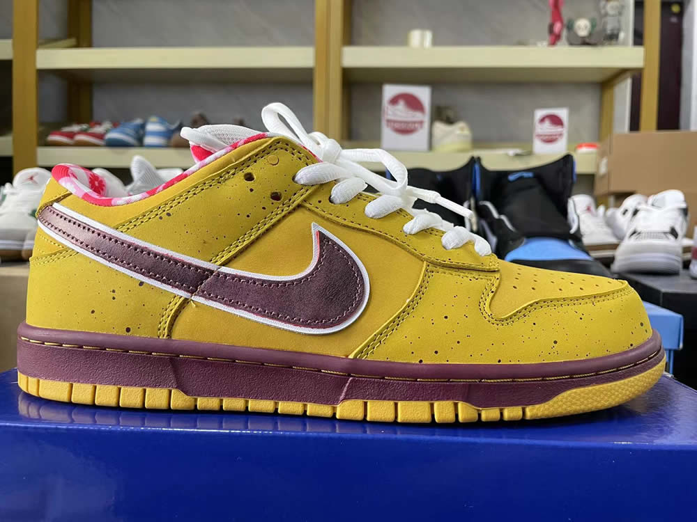 Nike Dunk Low Premium Sb Yellow Lobster 313170 137566 7 - www.kickbulk.co