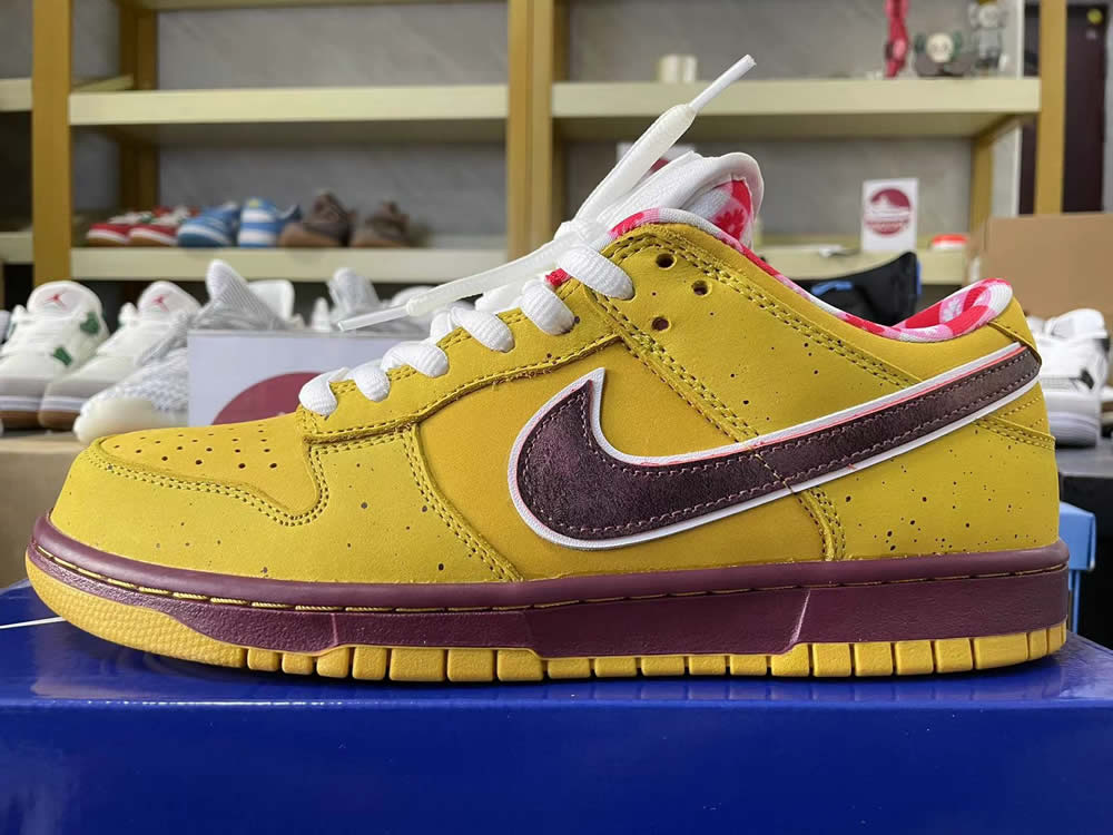 Nike Dunk Low Premium Sb Yellow Lobster 313170 137566 9 - www.kickbulk.co