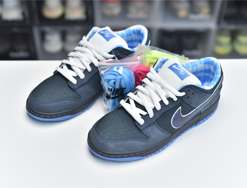 Nike Dunk Sb Low Blue Lobster 313170 342 2 - www.kickbulk.co