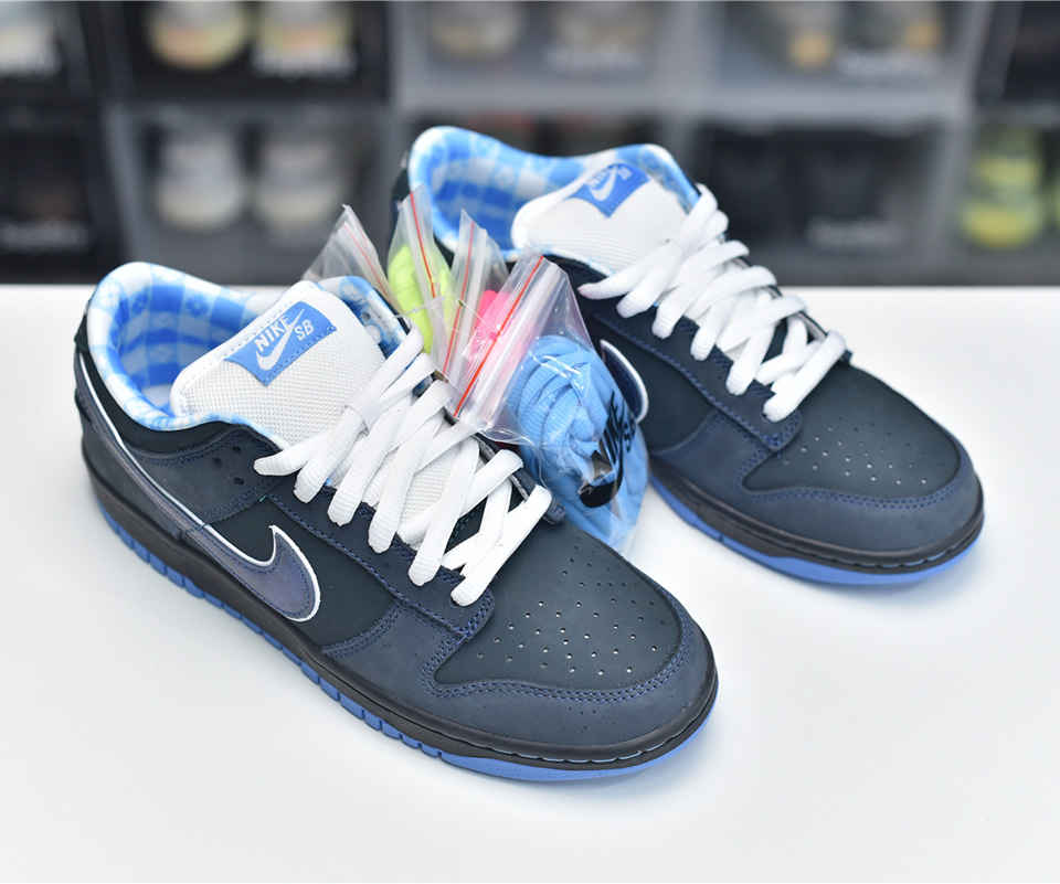 Nike Dunk Sb Low Blue Lobster 313170 342 3 - www.kickbulk.co