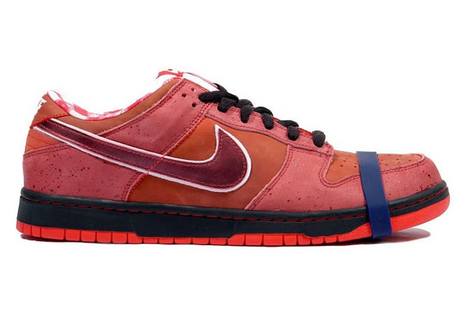 Nike Dunk Low Premium Sb Lobster 313170 661 4 - www.kickbulk.co