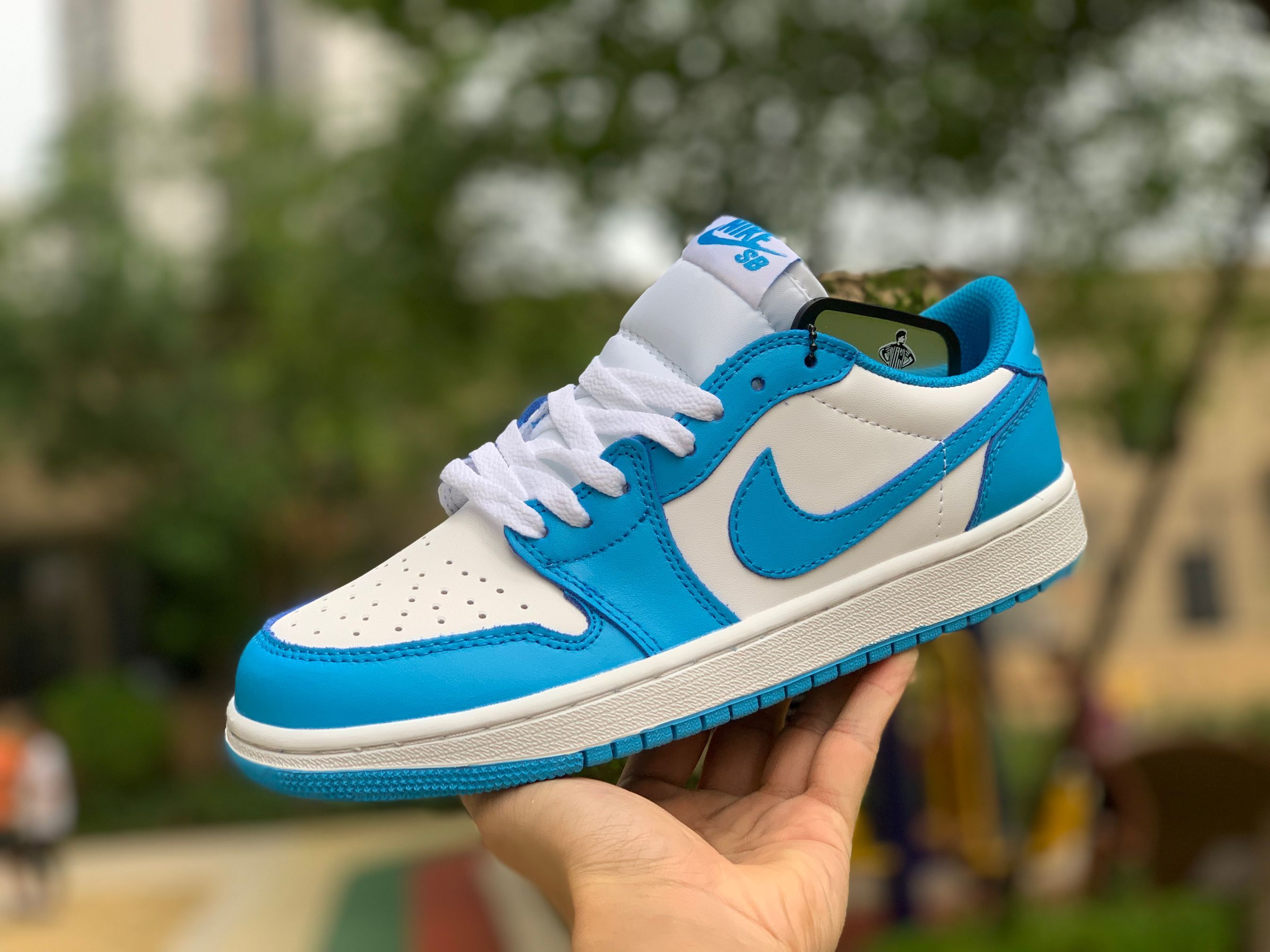 Nike Sb Air Jordan 1 Low Unc Blue White Cj7891 401 16 - www.kickbulk.co