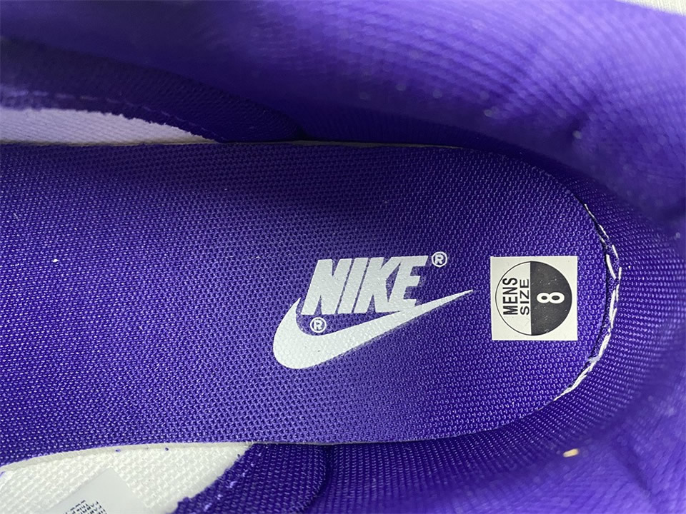 Nike Dunk Low Championship Purple Dd1391 104 20 - www.kickbulk.co