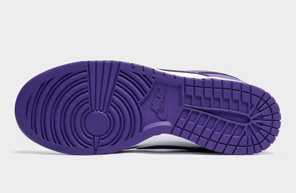 Nike Dunk Low Championship Purple Dd1391 104 5 - www.kickbulk.co