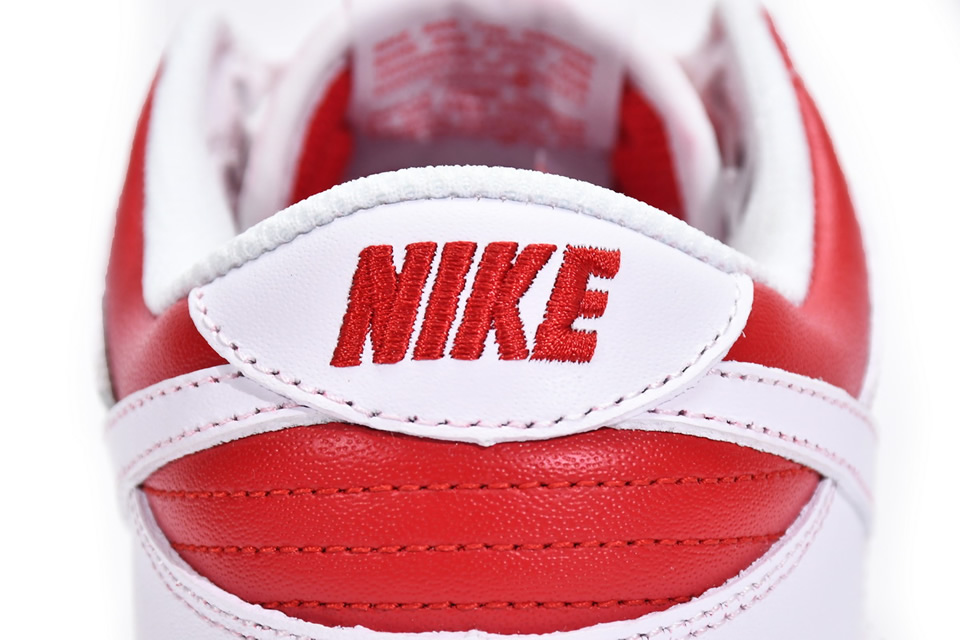 Nike Sb Dunk Low University Red Dd1391 600 11 - www.kickbulk.co