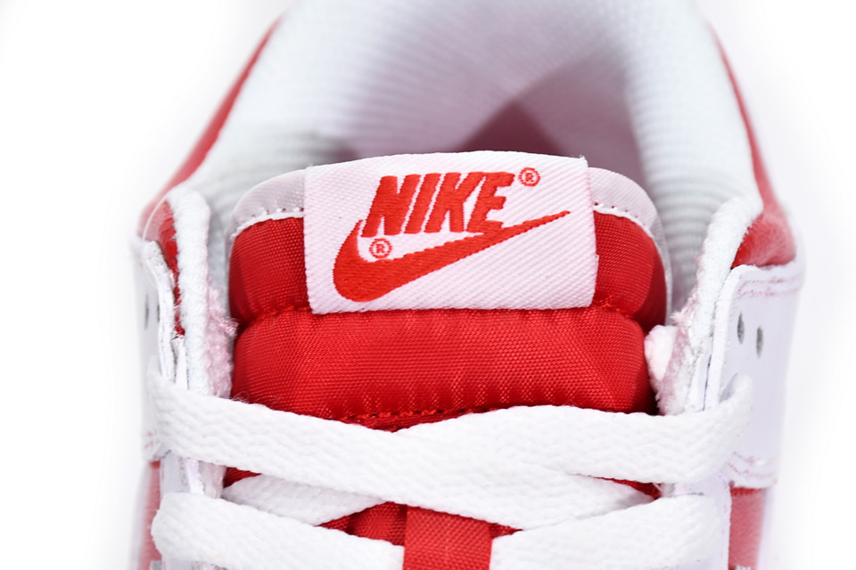 Nike Sb Dunk Low University Red Dd1391 600 6 - www.kickbulk.co