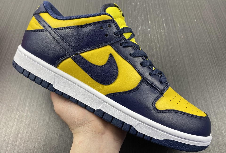 Nike Dunk Low Michigan 2021 Dd1391 700 10 - www.kickbulk.co