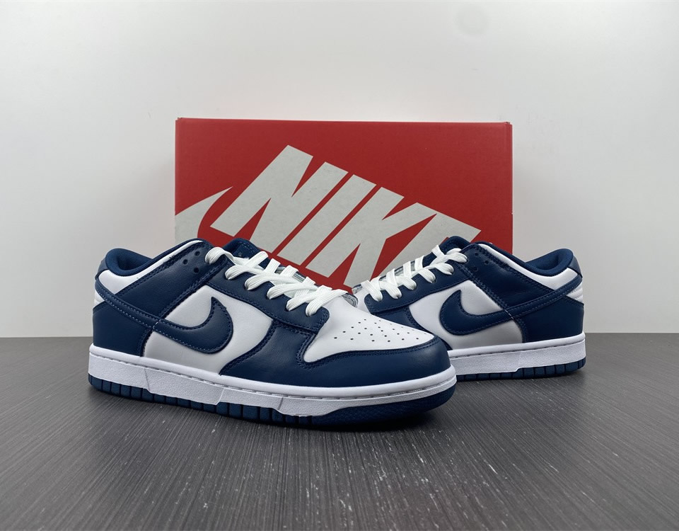 Nike Dunk Low Valerian Blue Dd1391 400 11 - www.kickbulk.co