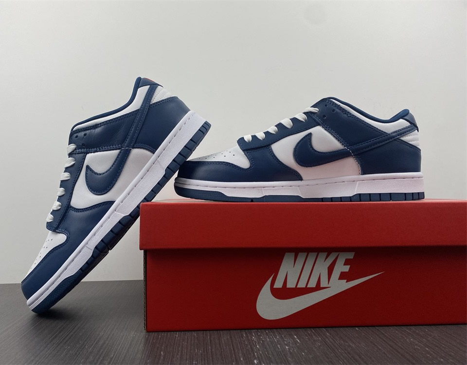 Nike Dunk Low Valerian Blue Dd1391 400 12 - www.kickbulk.co