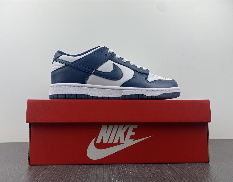 Nike Dunk Low Valerian Blue Dd1391 400 15 - www.kickbulk.co