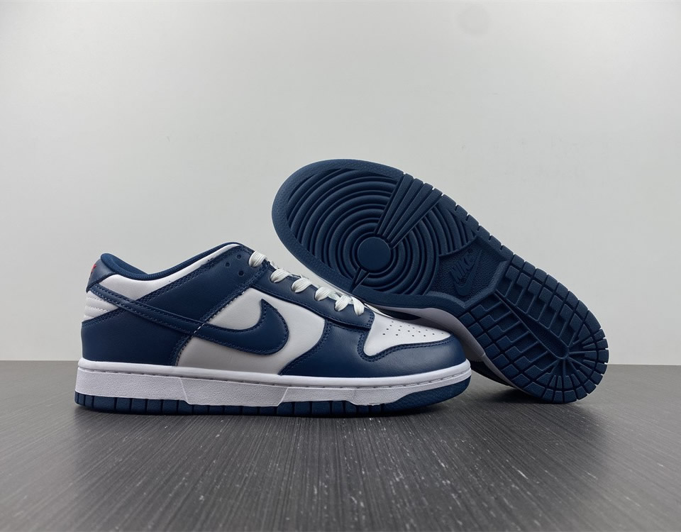 Nike Dunk Low Valerian Blue Dd1391 400 8 - www.kickbulk.co