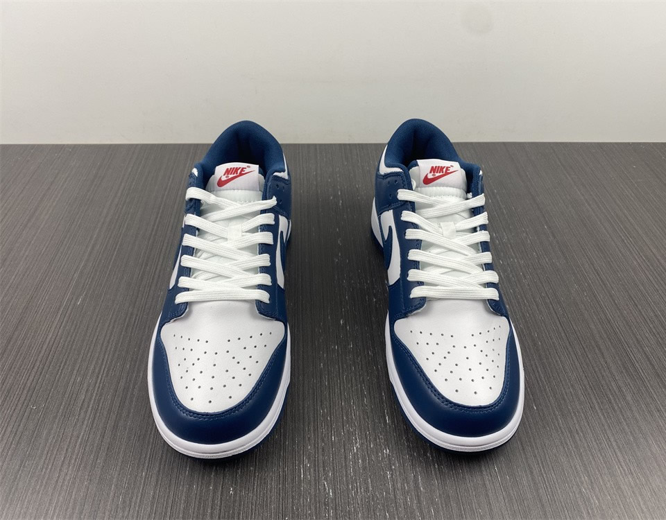 Nike Dunk Low Valerian Blue Dd1391 400 9 - www.kickbulk.co