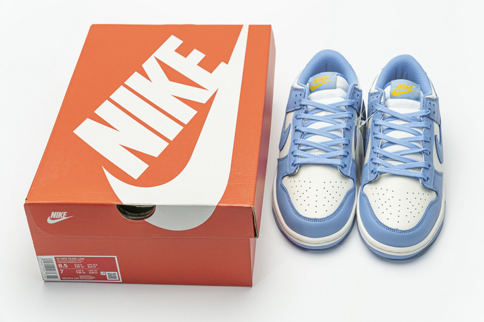 Nike Sb Dunk Low Coast Blue Dd1503 100 5 - www.kickbulk.co