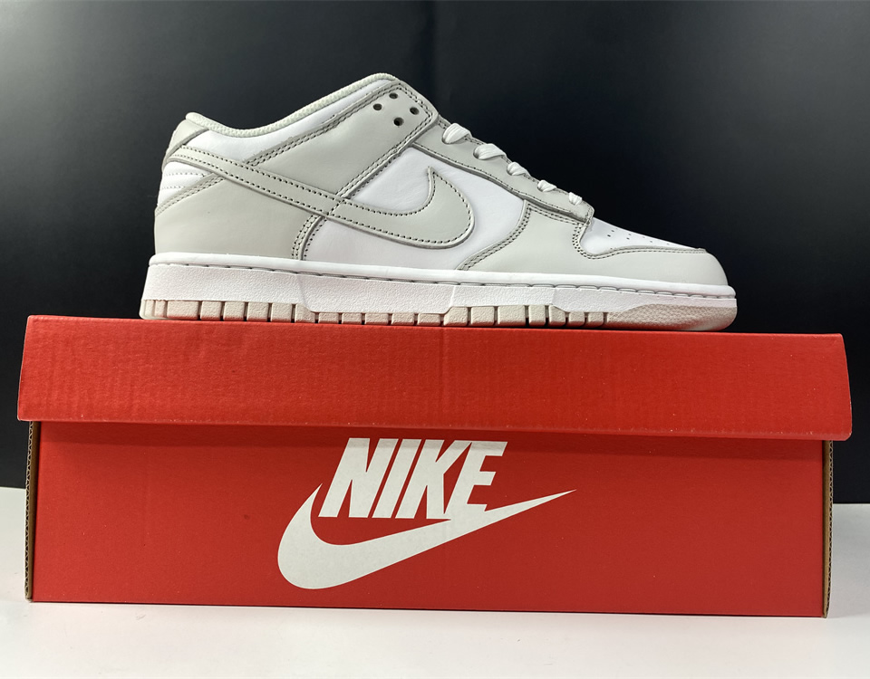 Nike Dunk Low Wmns Photon Dust Dd1503 103 21 - www.kickbulk.co