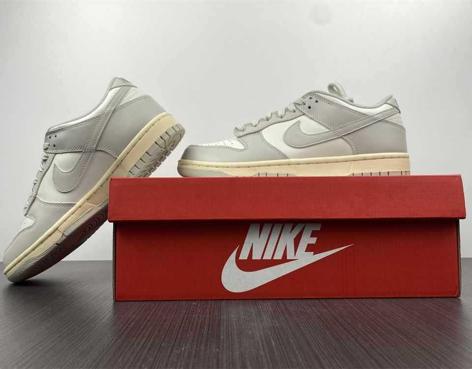 Nike Dunk Low Light Bone Wmns Dd1503 107 21 - www.kickbulk.co