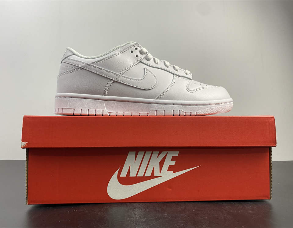 Nike Dunk Low Wmns Triple White Dd1503 109 24 - www.kickbulk.co