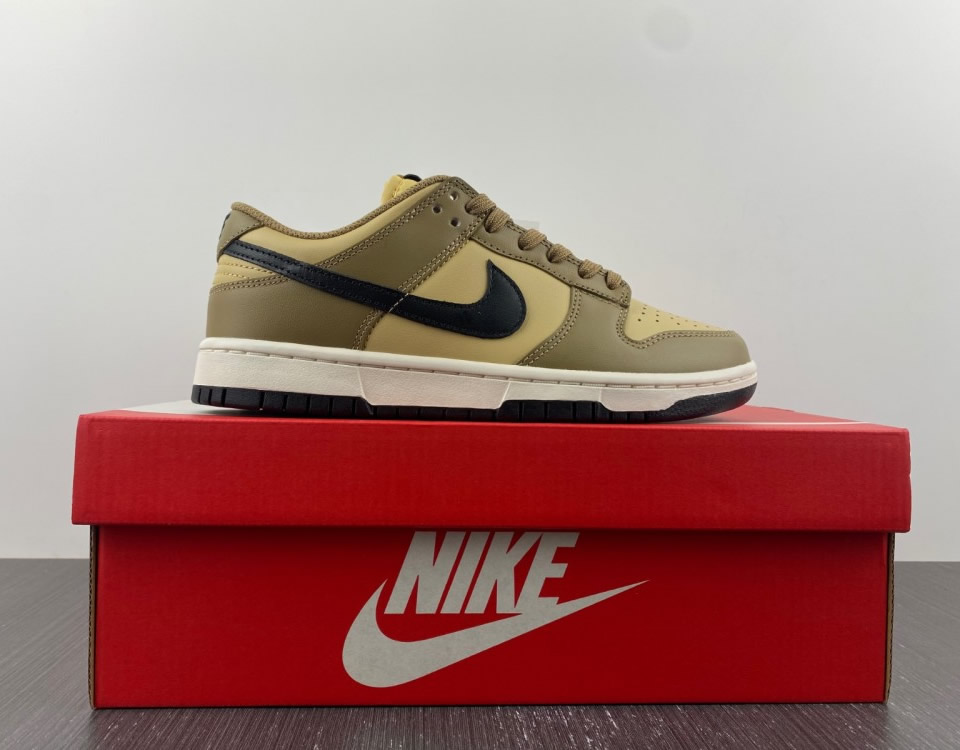 Nike Dunk Low Dark Driftwood Wmns Dd1503 200 15 - www.kickbulk.co